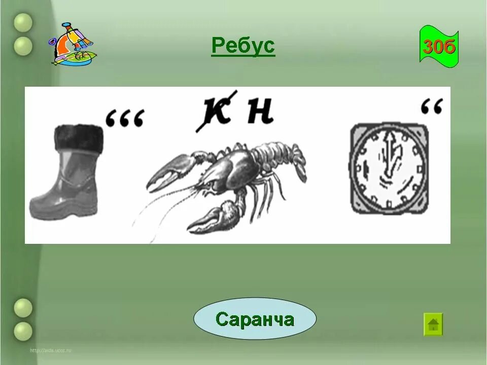 Ребус р ш. Ребус нога. ребус фотография. ребусы членистоногие. детские ребусы про насекомых.