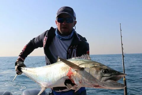 King fish fishing