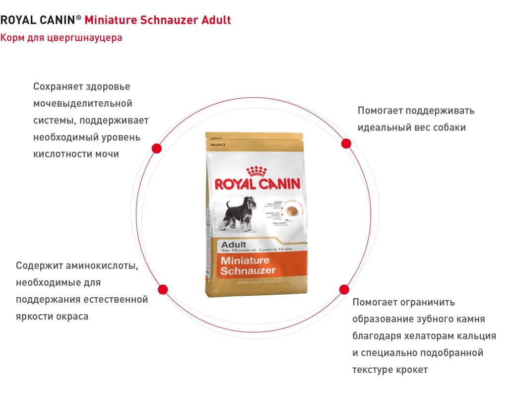 Royal Canin корм для цвергшнауцеров. Сухой корм Роял Канин для цвергшнауцера. Роял Канин для щенков цвергшнауцера. Роял Канин для собак Цвергшнауцер.