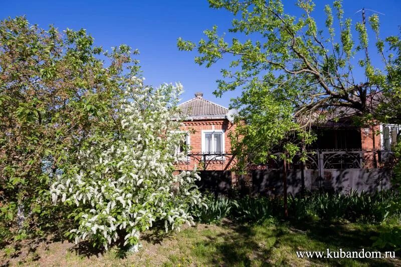 храм старовеличковская. краснодарский край, калининский р-н, станица старовеличковская,. калининский район станица старовеличковская заливной переулок дом 2. старовеличковская станица краснодарский край. старовеличковская станица краснодарский улица долиновская 107.