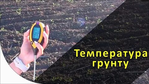 Какая температура почвы в теплице