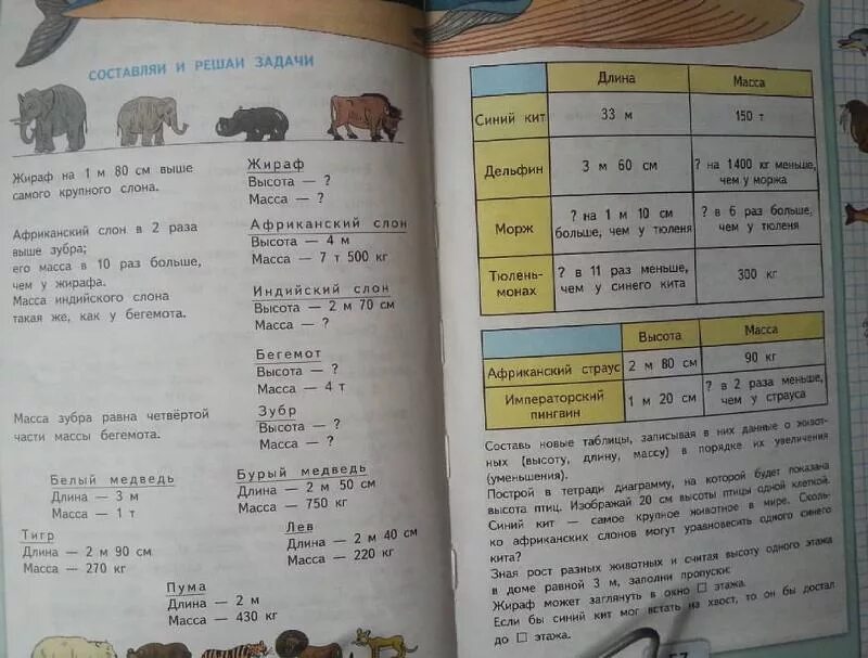 Вес 1 страницы. Задачи про животных. Помогите решить задачу 4 класс. Задачи по математике 4 класс про животных. Задачки про вес животных.
