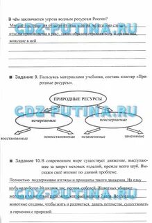Общество 7 класс 2024