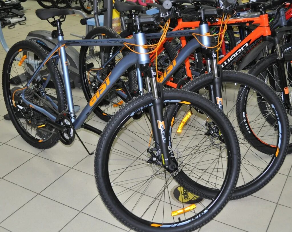 Магазины в кудымкаре. Магазин барс. Магазин барс. Магазин барс архангельск логотип. Веломагазин.