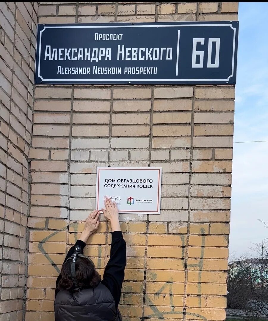 Дом образцового содержания 16. Дом образцового содержания табличка. вывеска подвал. подъезд образцового содержания. охраняется государством табличка.