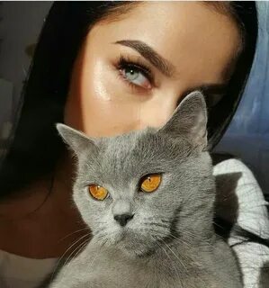 Внешность кошки
