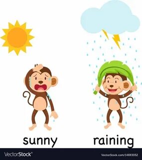 Sunny but
