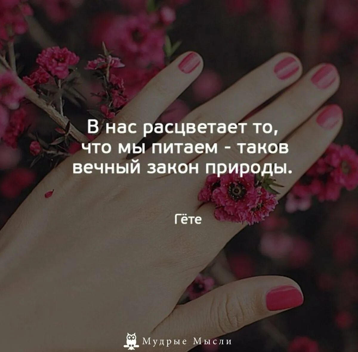 Душа цитаты. Душевные высказывания. душевные статусы. красивые душевные статусы. цитаты про душу.