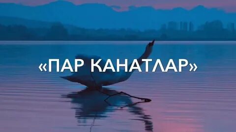 Песня пар канатым
