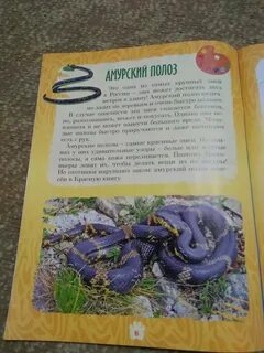 Лео книги сделай что сможешь 3