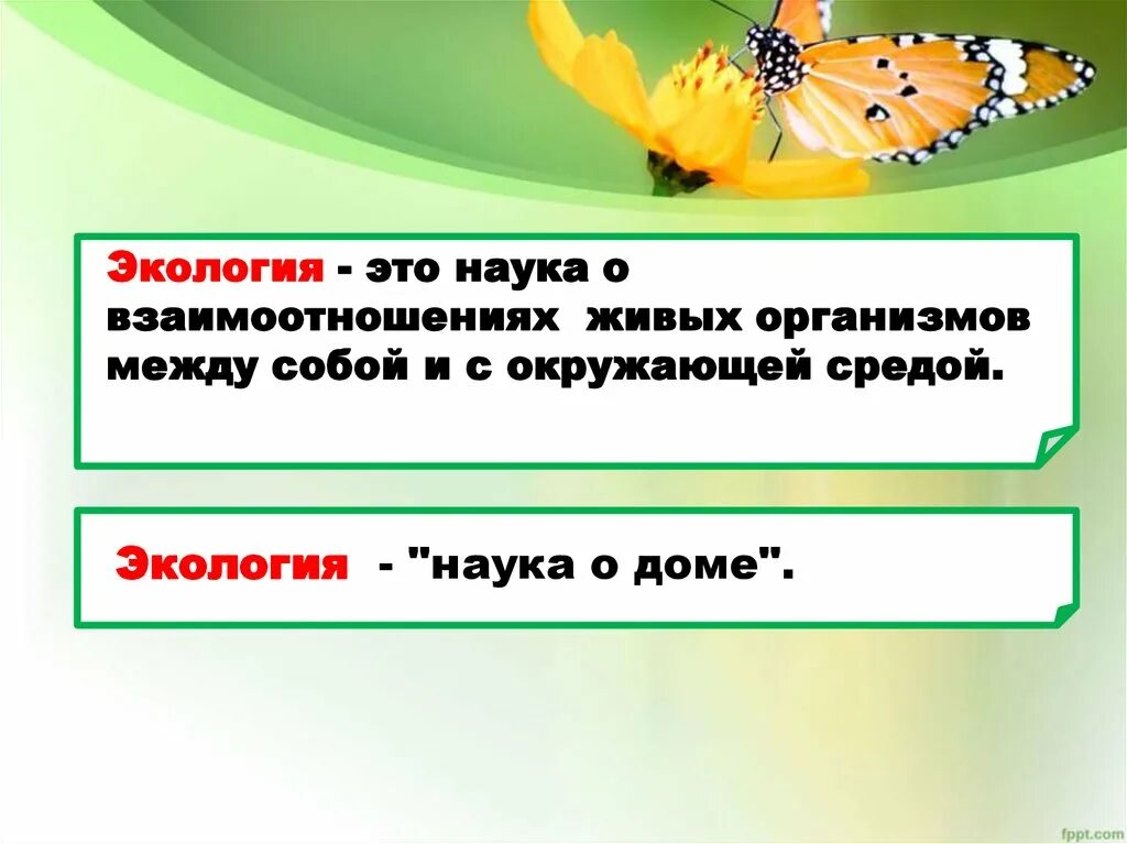 Егэ экология это наука о взаимодействии живых. Продолжи предложение экология это наука. Экология наука о доме. Продолжите предложение экологическая ситуация это. Объект изучения экологии взаимодействие живых систем.