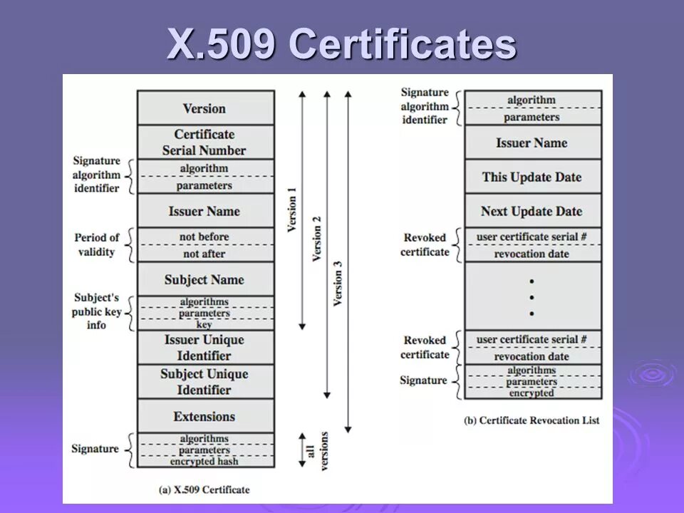 Стандарт x.509 v.3. Формат сертификата x.509. Структура сертификата x.509. Структура x509 Certificate.