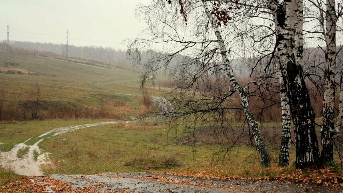 Остафьево поздняя осень. Поздняя осень пейзаж. Ноябрь природа. Поздняя осень Поляна. Облетевшей березке