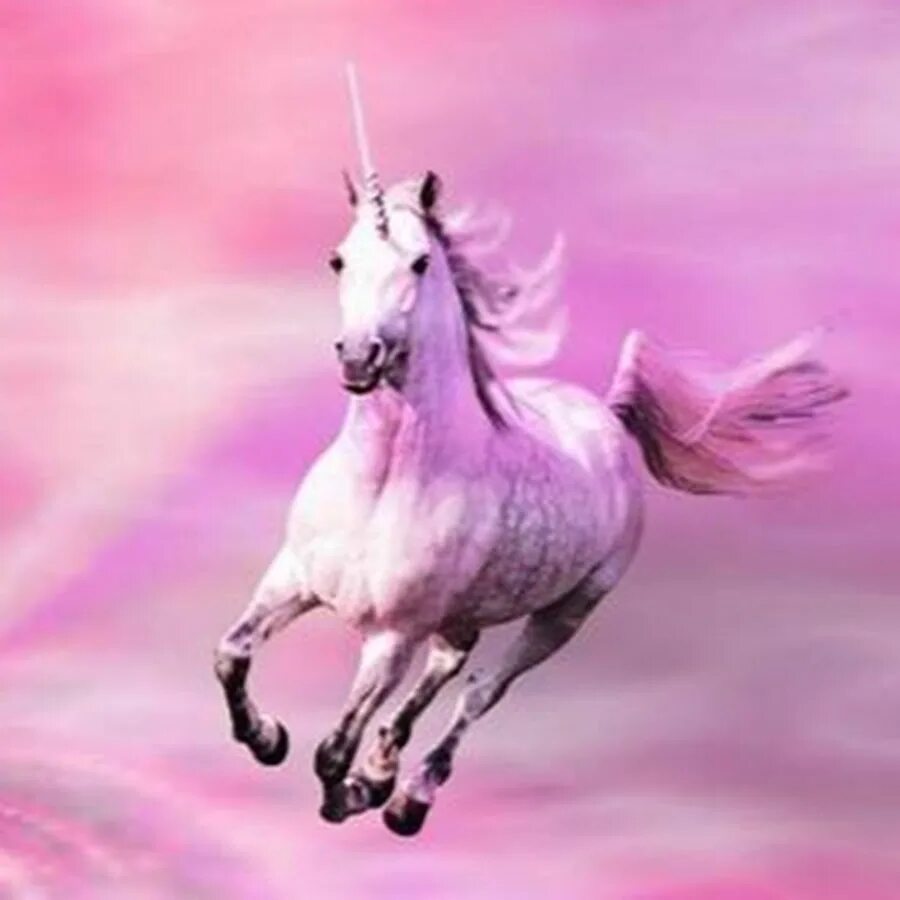 Розовые кони видео. Единорог. Розовый Единорог. Розовый конь. Розовая лошадь.