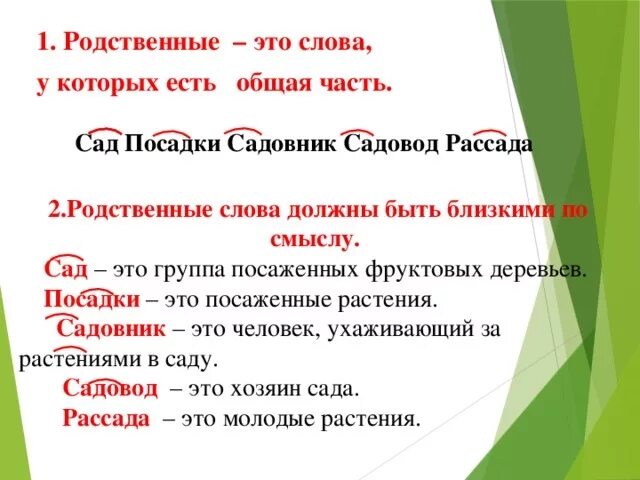 Сад сады какое проверочное слово. Родственные слова. Придумать родственные слова. Родственные слова сад. Садовый родственное слово.