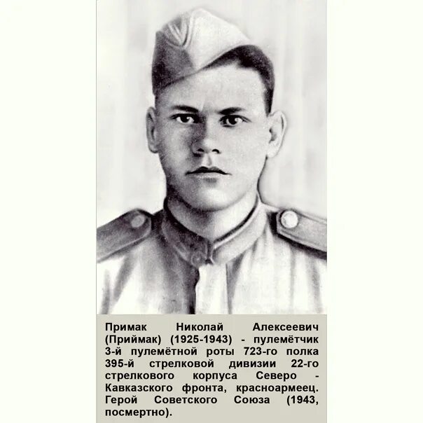 Сын примак. Николай алексеевич примак. николай примак герой советского союза. приймак николай алексеевич герой советского союза. примак павел герой советского.