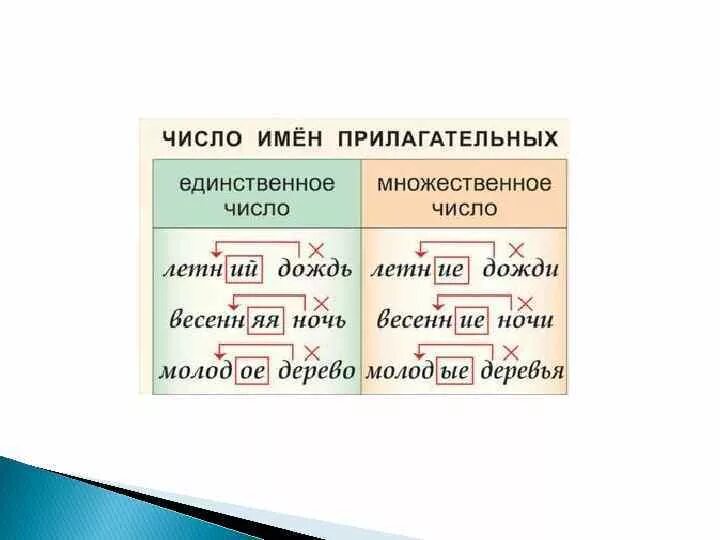 Как изменяются прилагательные в единственном числе