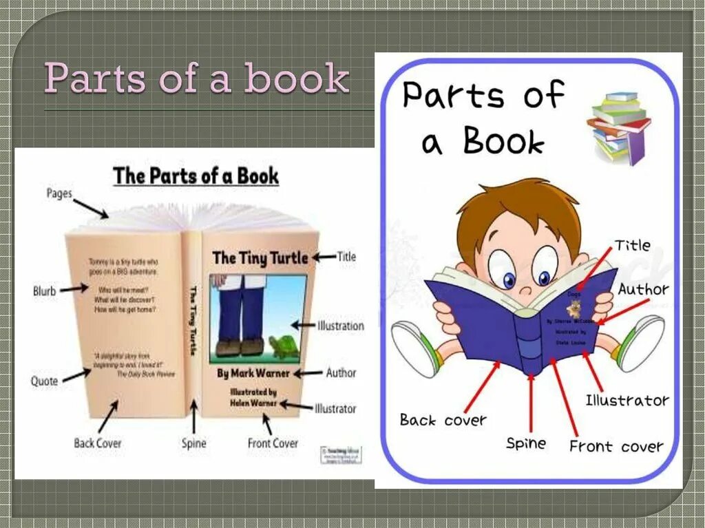 Book Parts. Parts of the book 12 страница. Read small Parts of a book. Give data about Parts of a book.