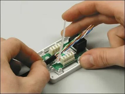Cat 5e подключение интернет