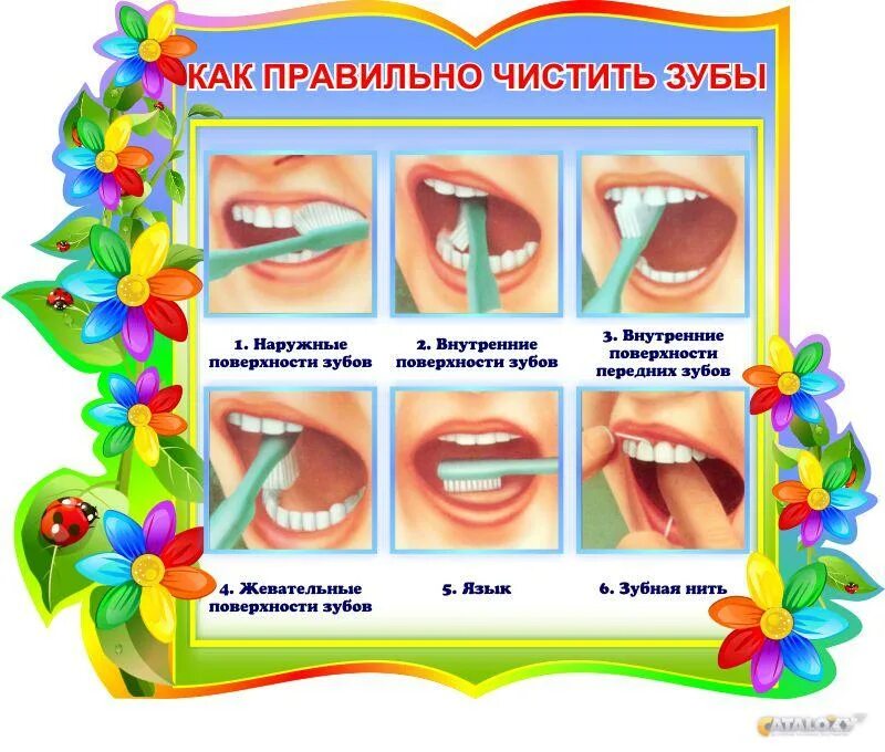 Как правильно прочищать. Алгоритм чистки зубов. памятка о правильной чистке зубов. алгоритм чистки зубов для детей. алгоритм чистки зубов для дошкольников.