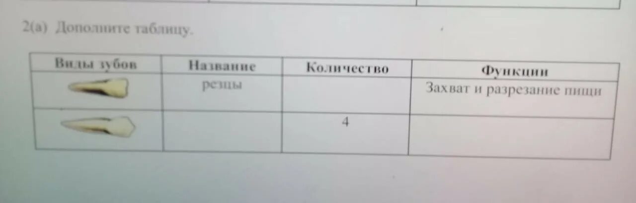 Дополни до 9 таблица. Заполни таблицу беда в Бережках из-за чего. Заполни таблицу беда в Бережках из-за чего начался сильный Мороз. Беда в бережках заполнить таблицу