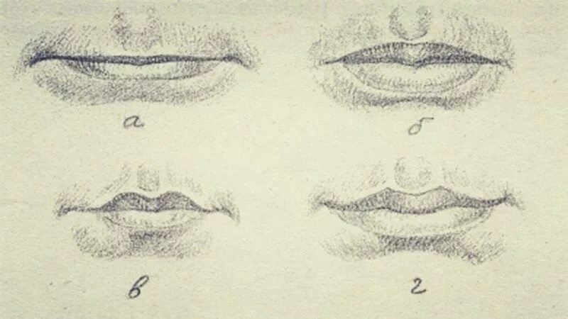 Верхний край губы. Контур каймы верхней губы криминалистика. Контур линии смыкания губ криминалистика. Ширина каймы губ криминалистика. Контур верхней губы.