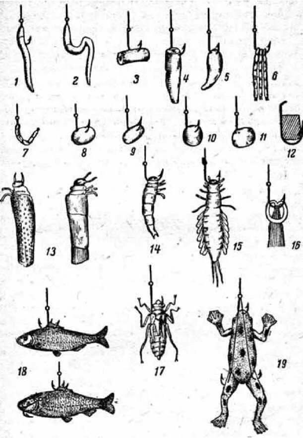 Рыбу ловить крючок. Способы наживки червя на крючок. Как правильно насаживать червя на крючок. Как правильно насадить опарыша на крючок на карася. Как правильно насаживать червяка на крючок для рыбалки.