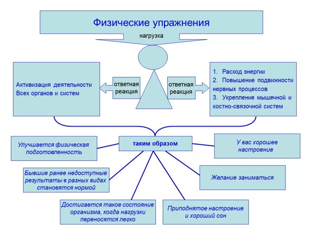 Аэробная и анаэробная нагрузка что это. Основная часть тренировки. Упражнения для тренировки сердечно-сосудистой системы. Система нагрузок и упражнений. Упражнения для развития гибкости.