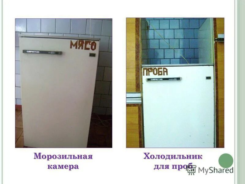 характеристика камер холодильников