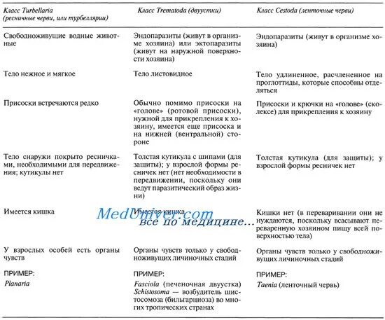 Плоские черви Ресничные сосальщики ленточные таблица. Сравнительная таблица ресничных ленточных и сосальщиков червей. Таблица Тип плоские черви cjcfkmobrb? Ktynjxyst7 класс. Сравнение сосальщиков и ленточных червей таблица. Класс ресничные сосальщики ленточные