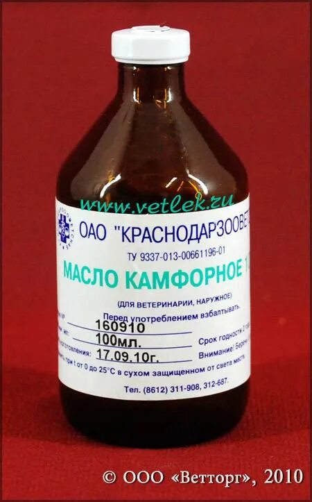 Можно применить камфорный. Масло камфорное 10% 100мл. Камфора для животных. Камфорное масло для уха. Масло камфорное 100 мл.