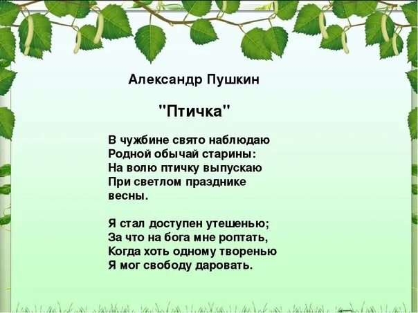 Истории людей которые сохранили веру на чужбине. Пушкин птичка стихотворение. Стих Пушкина птичка. Стихотворение Пушкина птичка.