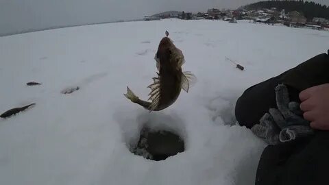 Поймать ерша