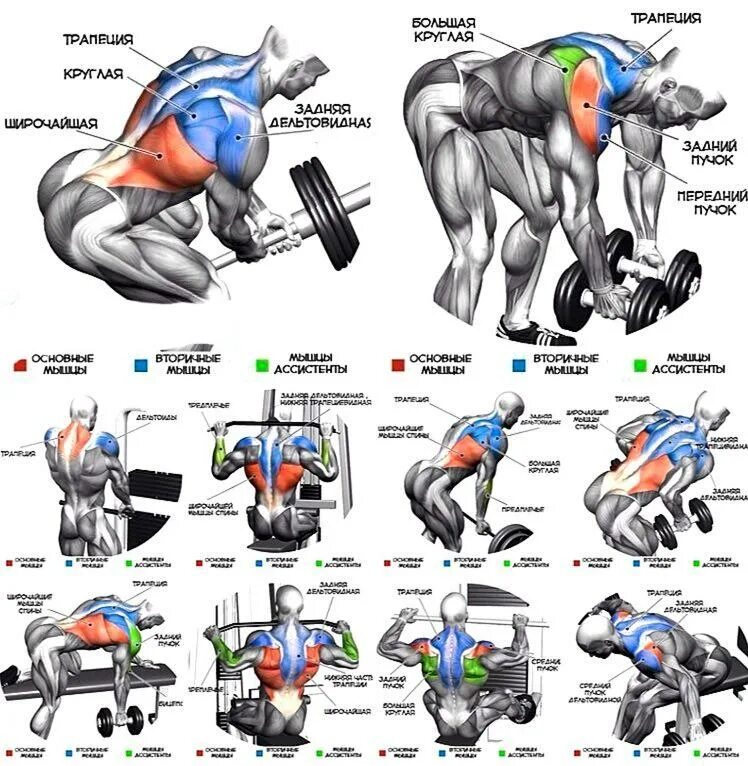 Штанга поясница. Упражнения для прокачки спины в тренажерном зале. Комплекс упражнений на спину в тренажерном зале для мужчин. Упражнения на широчайшие мышцы спины в тренажерном зале. Упражнения на широчайшие мышцы спины в тренажерном зале для мужчин.
