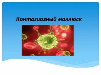 Как удалить моллюск