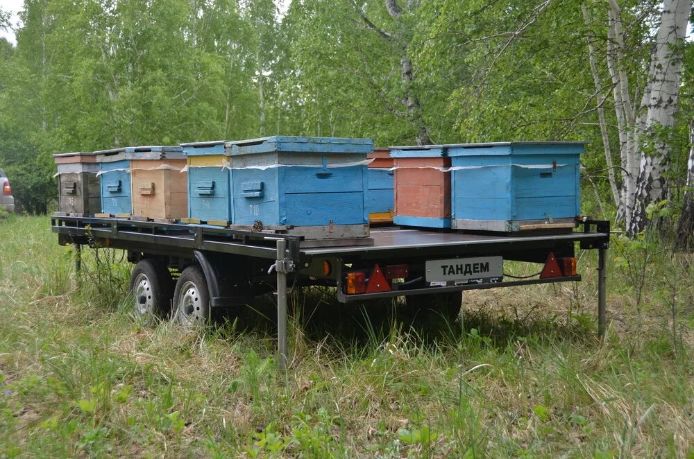 Купить прицеп для пчел. Прицеп пчеловодческий платформа Орион 9. Прицеп пчеловод Орион-9 с удлиненной платформой. Прицеп для пасеки 2022. Уфимский пчеловодный прицеп.
