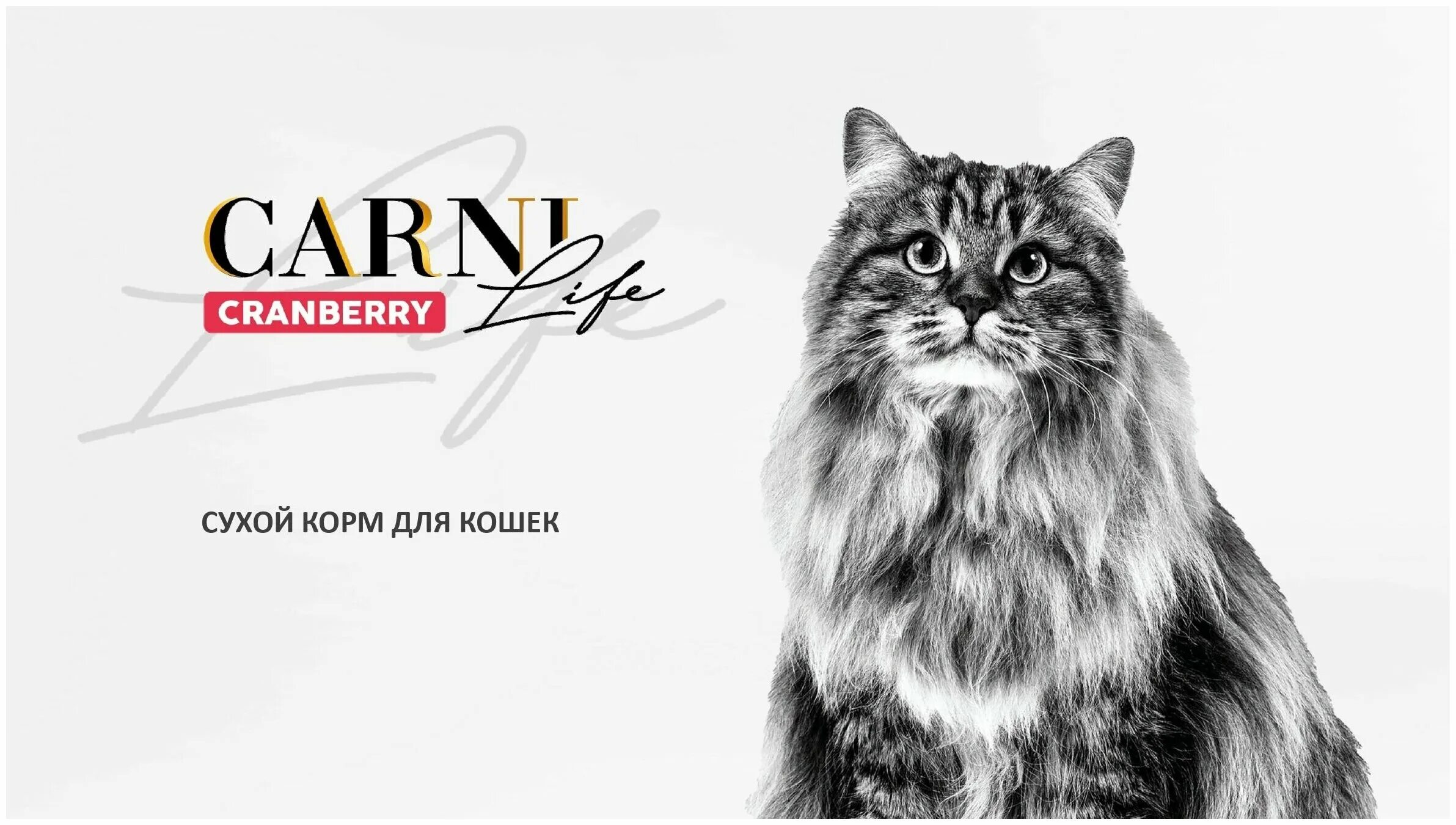 Carni life корм для кошек. Carni Life корм. Carni Life Sterilised. Сухой турецкий корм Carni.