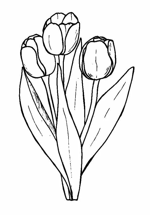 Тюльпаны картинка распечатать. Тюльпан раскраска. Тюльпан для раскрашивания. Тюльпаны для раскрашивания для детей. Тюльпаны разукрашка.