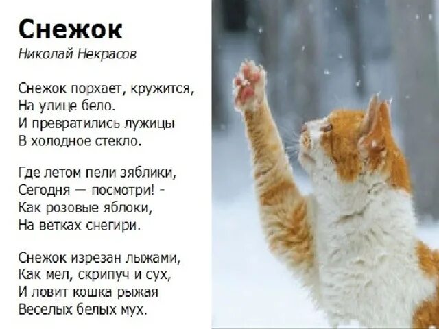 Кружит до упаду