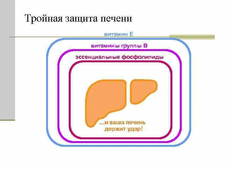 Защита печени. Комплексная защита печени. Механизмы защиты печени. Радуга защита печени. Тройная защита печени