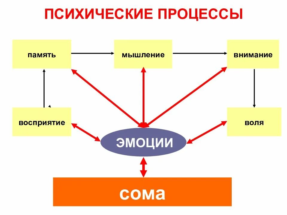 Эмоции это психический процесс. Психические процессы схема. Психические процессы память внимание. Психические процессы это Познавательные, эмоции, чувства, Воля. Взаимосвязь психических процессов.