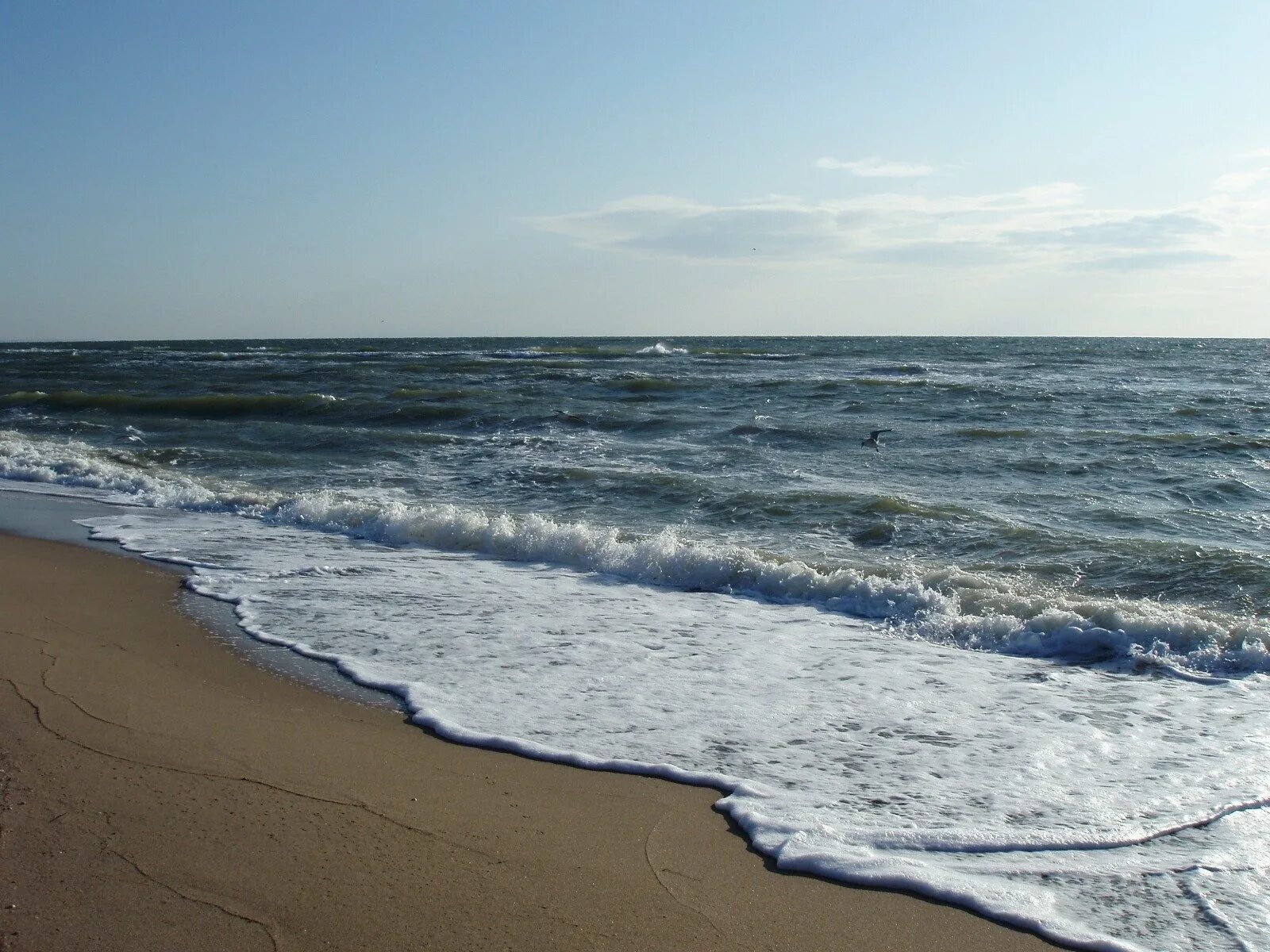 Берег Азовского моря Бердянск. Прибой Кучугуры. Азовское море море.