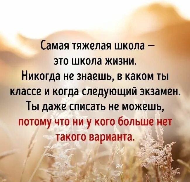 Идея цитаты. Цитаты про жизнь. афоризмы про жизнь. афоризмы о жизни и жизненных ценностях. мудрость жизни.