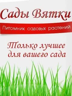 Вятский сад