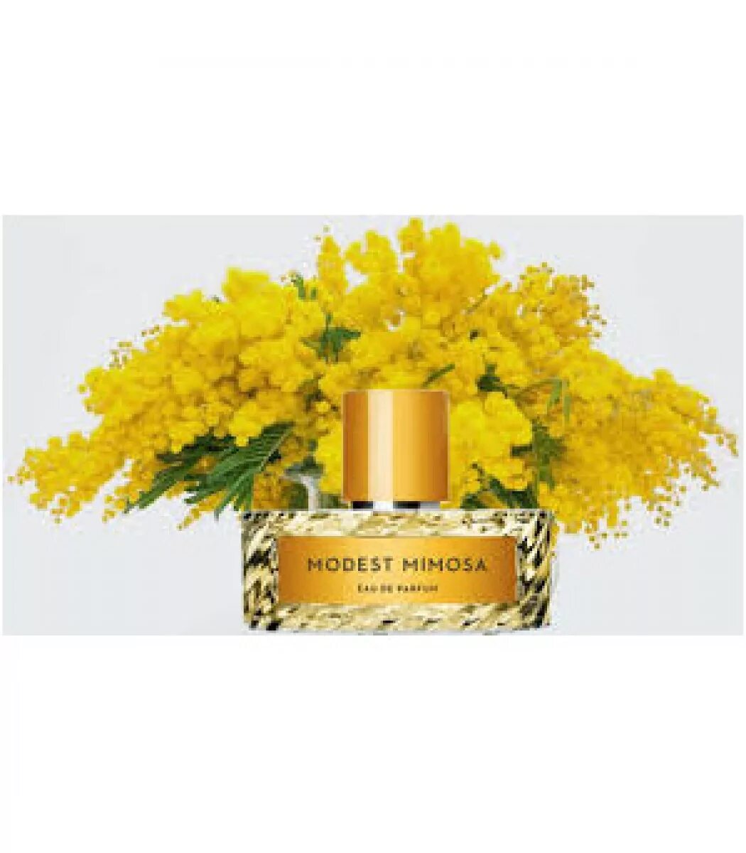 Духи Modest Mimosa. Modest Mimosa Vilhelm Parfumerie. Vilhelm Parfumerie Парфюм Mimoza Mimosa. Духи с запахом мимозы