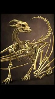 Кости дракона