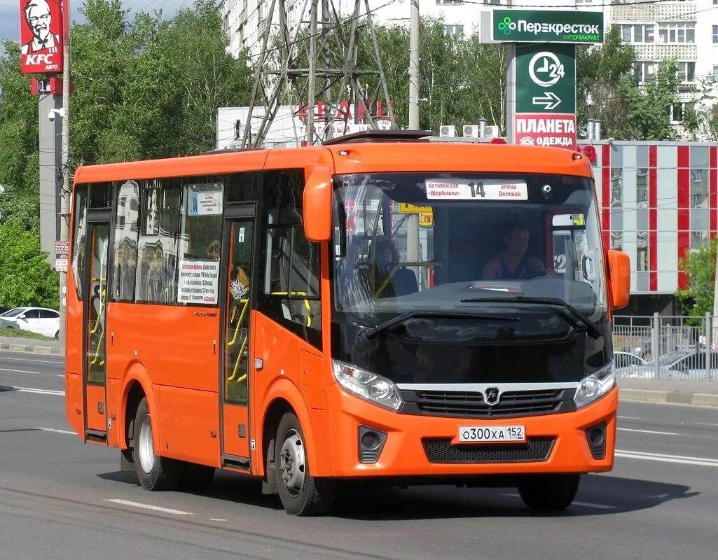 86 маршрутка нижний новгород. ПАЗ вектор Некст Нижний Новгород. ПАЗ 320405. В Нижнем Новгороде автобус вектор Некст. 71 Маршрут Нижний Новгород.