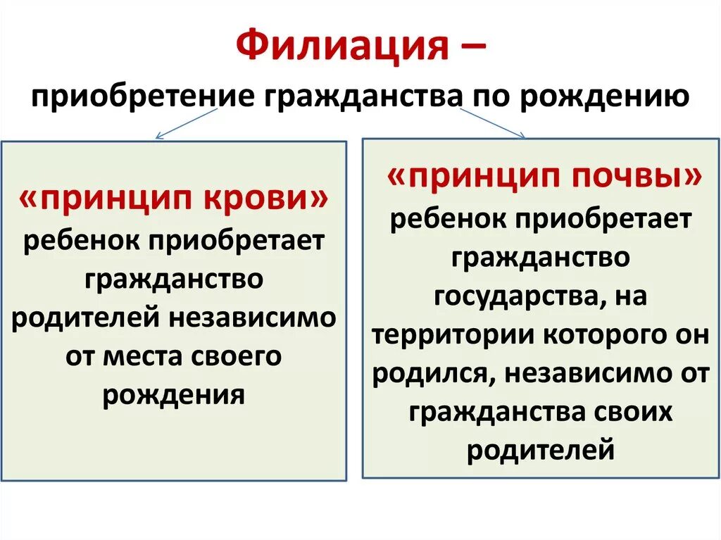 Принцип крови и почвы гражданство РФ. Принципы приобретения гражданства по рождению. Филиация. Приобретение гражданства по праву рождения принципы.