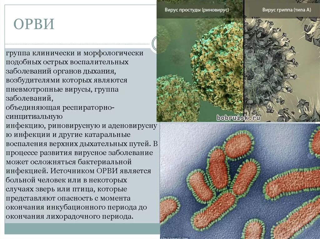 Вирус ковид группа патогенности. Вирус простуды. ОРВИ вирусное заболевание. Вирус гриппа заболевания. Бактерии вызывающие ОРВИ.