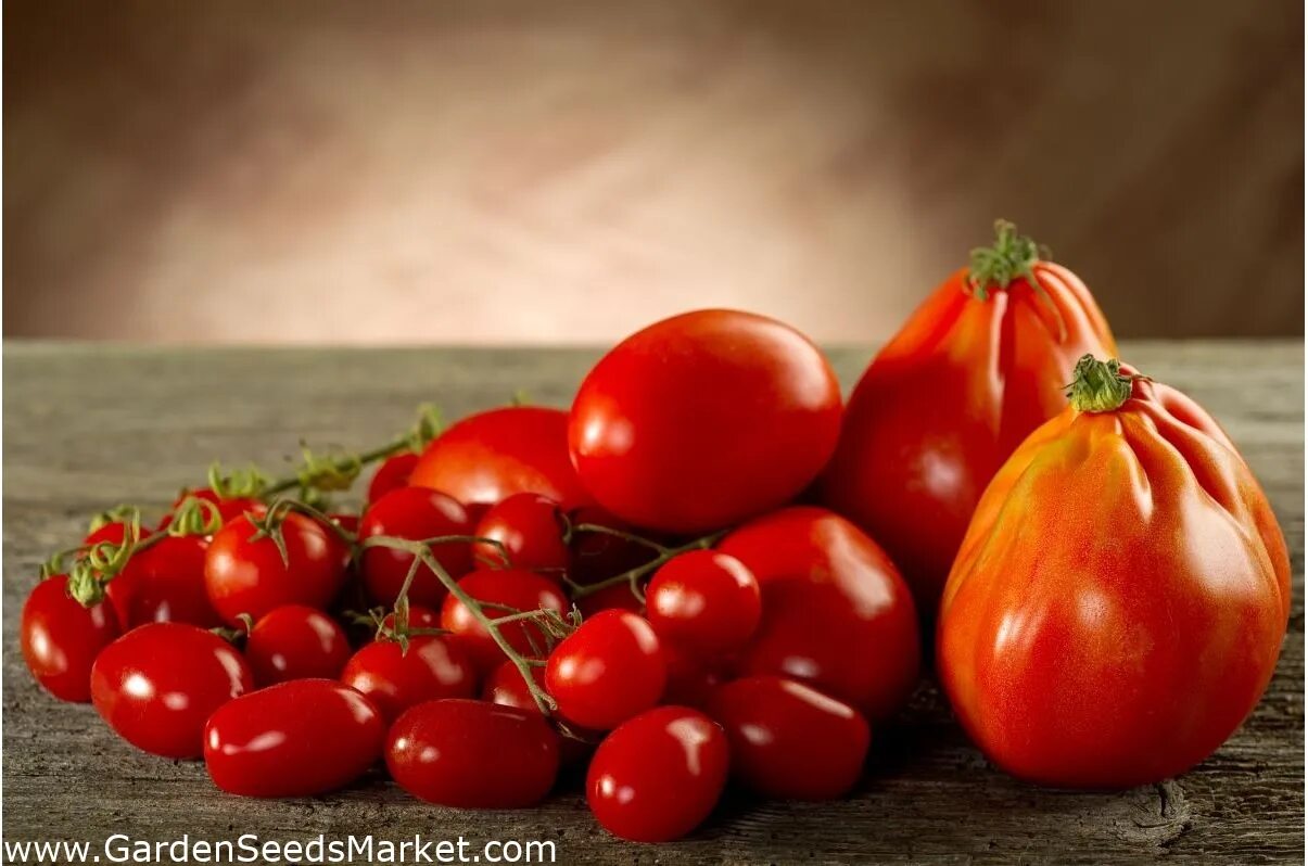 Сердолик томат описание. Красный банкир. Томат бугай розовый. Помидоры сорт банкир. Томат коррида.